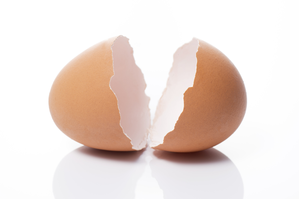 Facing Your Fears, One Eggshell at a Time